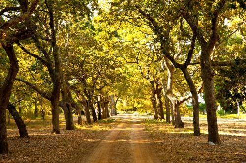 Lekkerwijn Historic Country House Franschhoek Ngoại thất bức ảnh